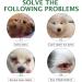 Cat & Dog Eye Drops 2 Bottle Relieve Red Eyes & Allergy Symptoms & Relieve Eye Inflammation Infect for Acute or Seasonal Dry Eyes Eye Wash Drops Gentle Formula for Dirt Crust & Discharge Remover - Buy Online on GoSupps.com