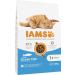 IAMS Dry Cat Food with Fish - 10kg for Cats Aged 1-6 Years | Premium Sea Fish Formula International Shipping Available - Buy Online on GoSupps.com