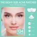 Mandabloom Acne Patch with Tea Tree & Calendula Oil | 104 Dot & Nose/T-Zone Patches | Acne Absorbing Cover for Face, Chin, Body - Buy Online on GoSupps.com