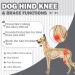 Buy Hjyokuso Dogebody After Op Suit - Wound Protection Bodysuit for Dogs | XL Gray | Anti-Licking E-Collar Alternative - Buy Online on GoSupps.com