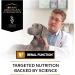 Pro Plan Veterinary Diets NF Renal Function Dog Food 12 kg - Buy Online on GoSupps.com
