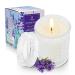 TTRWIN Lavender Scented Candle in Glass Jar 200g Natural Soy Wax Candles 50h Long Lasting Burning Aromatherapy Gift for Women Home Scented for Christmas Valentine's Day