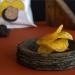Tartuflanghe - CHIPS avec Truffle 100g (Tuber aestivum Vitt.) - Buy Online on GoSupps.com