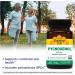 Country Life Pycnogenol 100mg - 30 Vegetarian Capsules | Powerful Antioxidant Formula - Buy Online on GoSupps.com