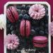 ScrapCooking - Pur e de Myrtilles 500 g - Pur e de Fruit pour P tisserie - Macarons Mousses Gel es G teaux Ganaches Nappages Coulis Glaces Cocktails - Fabriqu e en France - 4766 - Buy Online on GoSupps.com