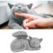 Qcwwy Pet Memorial Statue | Angel Cat Grave Marker | Resin Sleeping Pet Angel Sculpture | Tribute Ornament for Pet Memorials - Buy Online on GoSupps.com
