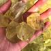 Natural Crystal Rough 50g Natural Clear Quartz Crystal Rock Chips Specimen Collection Natural Mixing Fish Tank (Color : Clearspecimen Size : 2-4 cm) - Buy Online on GoSupps.com
