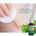 L EUDINE Tea Tree Oil - 1fl Oz Natural Multipurpose Body Oil for Acne Toenail Dandruff & Skin Issues - Made in USA Essential Oil for Refreshing Clothes & Cleaning - Buy Online on GoSupps.com