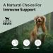 Four Leaf Rover Seven 'Shrooms - Organic Mushroom Complex for Dogs - Immune Support with Beta Glucans - Vet Formulated - Buy Online on GoSupps.com