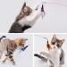 Molain 12Pcs/Set Cat Feather Toys Replacement Cat Wand 6 Worm Refills+5 Natural Feather Teaser Refills+1 Cat Teaser Wand Interactive Teaser Toy for Indoor Cats Kittens 12pcs Cat Feather Toys - Buy Online on GoSupps.com