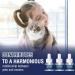 Pheromone Cat Calming Socket - 3x48ml Refills for Stress Relief & Relaxation | Anti-Stress Solution for Cats - Buy Online on GoSupps.com