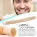 Original Color Miswa Wooden Toothbrush - Versatile Hygiene Tool for Home Travel & Office - Buy Online on GoSupps.com