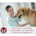 Canimove Doppelpack (200 Capsules) - Veterinary-Approved Support for Heart Function in Large Dog Breeds - Buy Online on GoSupps.com