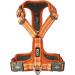 DOG Copenhagen Comfort Walk Air 3.0 Harness - M M Orange Sun | Buy Internationally | Best Dog Harness for Comfort and Style - Buy Online on GoSupps.com