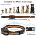 Wizco Dog Collar - 3300Ft Dog Training Collar with Remote for 5-120lbs Small Medium Large Dogs Rechargeable Waterproof e Collar with Beep (1-8) Vibration(1-16) (Orange) - Buy Online on GoSupps.com