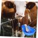 Beavorty Farm Feeding Water Bowl Dog Water Bowl Dispenser Cow Farm Feeder Drinking Bowl Poultry Automatic - Buy Online on GoSupps.com