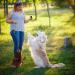 Itrimaka Dog Clickers for Training | Pet Clicker Trainer & Behavioral Aid for Dogs & Cats - Practical Black - Buy Online on GoSupps.com