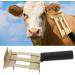 Agatige Livestock Shedding Comb for Cattle Grooming - Dematting and Antipruritic Brush Tool - Buy Online on GoSupps.com
