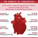 CoQ10 200mg Softgels with PQQ, BioPerine & Omega-3 | 120 Servings | High-Absorption Coenzyme Q10 Supplement | Powerful Antioxidant for Heart Health & Energy | 120 Count - Buy Online on GoSupps.com