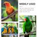 Mipcase Parrot Flying Suit with Leash - Bird Cosplay Accessories & Diaper for Home Birds - Windle Clothing for Parrots - Buy Online on GoSupps.com