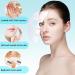 Hydrating Face Mask - Natural Plant Extract Sheet Masks - Moisturising Face Mask Skincare - Anti aging Face Masks Beauty Set - Facial Mask for Skin Nourishing Soothing Cleansing - Buy Online on GoSupps.com