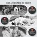 Bubbacare Anti Barking Device - Automatic Ultrasound Bark Control for All Dog Sizes - 3 Modes for Indoor & Outdoor Use - Buy Online on GoSupps.com