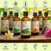 Moringa Oil 100ml - Cold-Pressed Moringa Oleifera Seed Oil for Anti-Aging Skin & Hair Care | Premium Carrier Oil - Buy Online on GoSupps.com