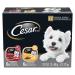 CESAR Adult Wet Dog Food Classic Loaf in Sauce Entr es - Filet Mignon - Chicken & Liver 100g Tray (12 Pack) Filet Mignon - Chicken & Liver 100 g (Pack of 12)