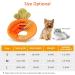 All-Sopets Cat Protective Collar - Lightweight Recovery Cone for Cats & Puppies | Soft After Surgery Collar in Orange - Buy Online on GoSupps.com