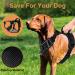 Etaccu No-Pull Dog Harness - Adjustable Breathable Reflective Safety Harness for Medium Dogs - Comfort & Control Black L - Buy Online on GoSupps.com