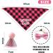 Dog Birthday Kit Dog Birthday Hat Bow Tie Band Pull Flag Scarf Number Stickers Cute Puppy Kitten Party Kit Reusable Suitable for Small Medium and Large Dog Pets(pink) - Buy Online on GoSupps.com