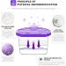 NATRUTH Lavender Scented Moisture Absorbers - 10.5OZ 12-Pack | Portable Closet Dehumidifier & Odor Eliminator for Homes Bathrooms Boats - Buy Online on GoSupps.com