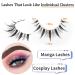 Geeneiya Manga Lashes Natural Look Anime False Eyelashes - 10 Pairs Asian Japanese Chinese Makeup Clusters - Buy Online on GoSupps.com