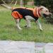 Pet Large Dogs Raincoat | Waterproof Jacket for Dogs | Adjustable Lightweight Vest | XXL Size 2XL 76-85lbs | Orange - Buy Online on GoSupps.com
