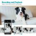 Vimtag 1080P Pet Camera 360 Pan/Tilt, 2-Way Audio, Motion Tracking, Night Vision, Cloud Storage - Smart Home Indoor Cam - White - Buy Online on GoSupps.com