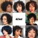 D but Short Bob Wig with Air Bangs - Curly Wavy Real Hair Wig for Women 25cm Natural Black 120g/130% Density - Buy Online on GoSupps.com