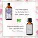 PHTAOIL Freesia Fragrance Oil 100ml - Aromatherapy & DIY Scented Products - Buy Online on GoSupps.com