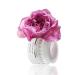 Buy Chantecaille Rose De Mai Cream 1.7 Oz | Luxury Skincare for Radiant Skin - International Shipping Available - Buy Online on GoSupps.com