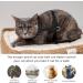 Adjustable Cat Harness & Leash Set - Escape-Proof Vest for Small Cats & Rabbits | 2 Pack with Pet ID Tags - Buy Online on GoSupps.com