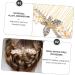 Angoily Alloy Rhinestone Hair Comb Hair Clip Rhinestone Bobby Pins Tiara Bride Hair Accessories Gold Bow Tie Hair Accessories for Wedding Bridal Hair Comb Rhinestone Hair Accessories Pearl - Buy Online on GoSupps.com