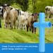Cow Sheep Mouth Opener Convenient to Use Gastric Lavage Veterinary Mouth Opening Tool Animals Livestock Breeding Euipment for Farm Blue(Large) - Buy Online on GoSupps.com