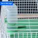 2 Pack Automatic Bird Water Dispensers - Ideal Bird Feeder & Water Bottle for Cage | Essential for Bird Lovers - Buy Online on GoSupps.com