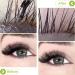 Eyelash Cleanser Concentrate Green Tea 100ml Professional Lash Extensions Shampoo Natural Foaming Cleanser DIY Paraben & Sulfate Free Non-lrritating Wash for Extensions Lashes with Salon Home Care-Makes 60ml Bottles Eyelash Shampoo Green tea 1 count (Pack - Buy Online on GoSupps.com