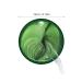 Reduce Dark Circles & Puffiness: Eye Mask with Seaweed - 20ml | Personal Skin Care - Buy Online on GoSupps.com