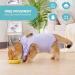Avont Katzenbody: Recovery Suit for Cats - Post-Op Castration & Spay Leak Protection for Abdominal Wounds - Medium Lilac - Buy Online on GoSupps.com