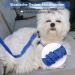 Oyefly Universal Dog Seat Belt Elastic Safety Belt for Dogs & Cats | Strong Carabiners | Fits All Car Types (Blue) - Buy Online on GoSupps.com
