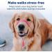 PetSafe Gentle Guide Collar for Small Dogs up to 25 lbs | Deep Purple with Training DVD - International Shipping Available - Buy Online on GoSupps.com