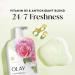 Olay Body Wash for Women Fresh Radiance 24/7 Skin-Loving Freshness Visibly Radiant Plant Based Cleansers Vitamin B3 & Antioxidant Blend All Skin Types Rose Water & Sweet Nectar Scent 29 fl oz - Buy Online on GoSupps.com
