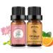 Neroli Lotus Essential Oils Set 100% Pure Organic Scented Fragrance Essential Oil Aromatherapy Oils for Diffusers for Home Humidifier or DIY Soaps Candles - 2x10ml Neroli + Lotus 20.00 ml (Pack of 1)