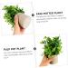 Zerodeko 4 Pcs Simulated Potted Plant Fake Green Plant Flowers Decoration Mini Succulent Plants Household Decor Fake Potted Plant Decor Desktop Ornament Cylinder Plastic Artificial Flower As Shownx4pcs 22x8cmx4pcs - Buy Online on GoSupps.com